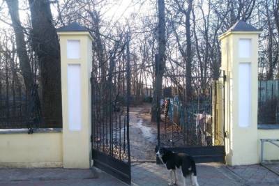 Херсонское кладбище Курска досталось оскандалившейся компании
