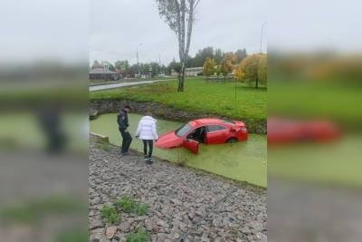 «А как она оттуда вылезла?»: петербурженка въехала на машине в пруд, а после вышла из него сухой и чистой