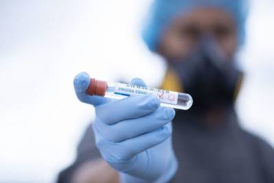 Еще 138 новгородцев заболели коронавирусом