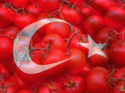 В России нашли вирус в турецких помидорах