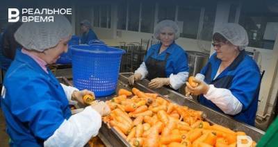 В Татарстане за неделю снизились цены на продукты «борщевого набора»