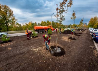В Уфе в рамках акции «Зеленая Башкирия» высадили 1420 деревьев и 526 кустарников