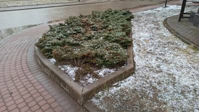 Синоптик Леус: Первый снег придет в Петербург в декабре