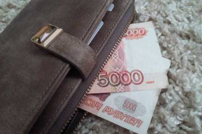 ПФР по Чечне опроверг слухи о выплатах женщинам до 50 тыс. рублей