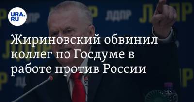 Жириновский обвинил коллег по Госдуме в работе против России. «Готовы вонзить нож в спину родины»
