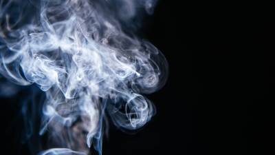 Биолог Аграновский не исключил, что курение может препятствовать заражению COVID-19