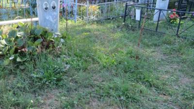 Жительница Воронежа выкопала тело возлюбленного из могилы и сожгла его в лесу