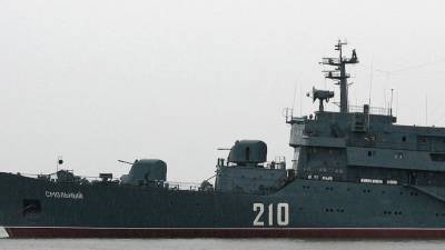 NetEase: британцы испугались появления российского корабля «Смольный» на учениях НАТО