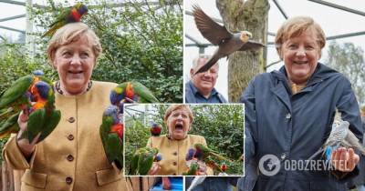 Меркель с попугаями: в сети стали вирусными фото канцлера ФРГ в птичьем парке