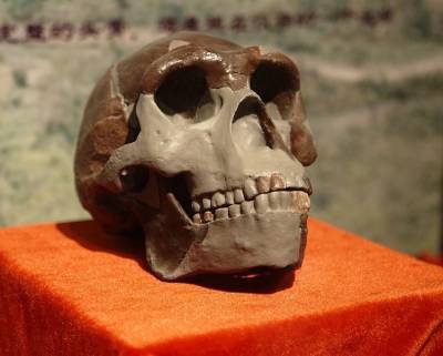 В США обнаружили необычайно древние человеческие следы и мира