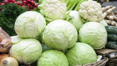 Капуста признана овощем, помогающим в борьбе с онкологией