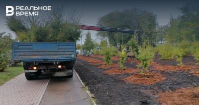 В Набережных Челнах в субботу высадили 400 деревьев