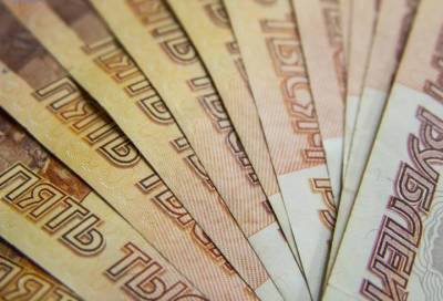 У 90-летнего петербуржца украли 5 млн рублей во время застолья