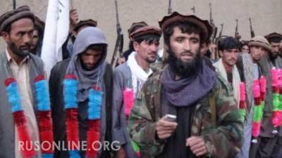 «Талибан» просит Россию о помощи