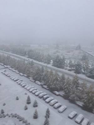 «А на улице зима!»: кемеровчане делятся в соцсетях фотографиями первого снега
