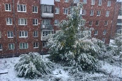 Первый снег выпал в регионах Сибири: ДТП, падение деревьев и укладка асфальта