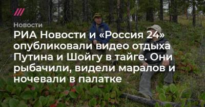 РИА Новости и «Россия 24» опубликовали видео отдыха Путина и Шойгу в тайге. Они рыбачили, видели маралов и ночевали в палатке