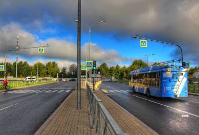 Три троллейбуса в Петербурге изменят маршрут 26 сентября
