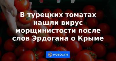 В турецких томатах нашли вирус морщинистости после слов Эрдогана о Крыме