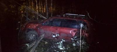 В Карелии водитель на иномарке не смог ночью удержаться на дороге и попал в ДТП