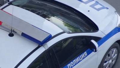 Водителя Mercedes сбежал после нападения на инспекторов ДПС в Москве