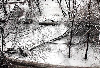 Сотни деревьев повалены в Кемерово после первого снегопада