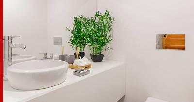 Домашние тропики: топ-5 идеальных растений для ванной комнаты