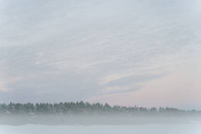 В начале недели в Ленобласти ожидается туман
