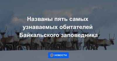 Названы пять самых узнаваемых обитателей Байкальского заповедника