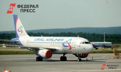 В летевший из Екатеринбурга в Сочи самолет попала молния