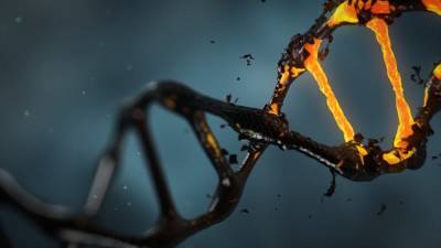 Ученые Калифорнийского университета открыли новую функцию гена роста