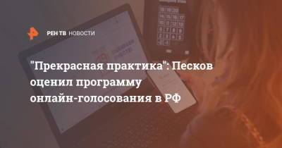 "Прекрасная практика": Песков оценил программу онлайн-голосования в РФ