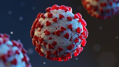 Научился обманывать организм: врач-инфекционист предупредил о новых свойствах коронавируса