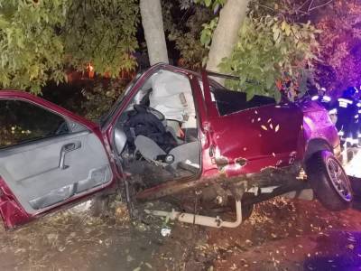 После столкновения с деревом водителя смогли вызволить только спасатели