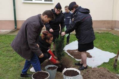 Новгородские полицейские высадили дерево в память о погибшем на Северном Кавказе коллеге