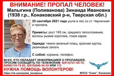 Пенсионерка ушла в лес Тверской области и не вернулась