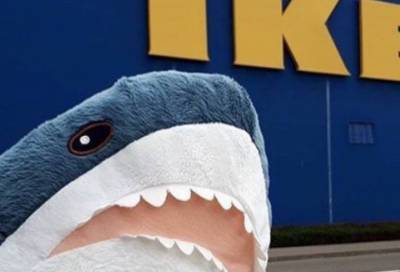 IKEA снимет с производства знаменитую синюю акулу Blahaj