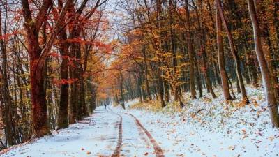 Сентябрьские снегопады спровоцировали массовые аварии в регионах РФ