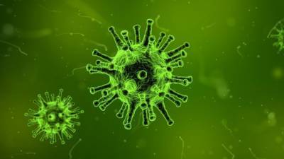 Ученый Исаев: вирус герпеса снижает шанс заражения коронавирусом