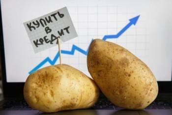 Производители и поставщики заявили о возможном баснословном росте цен на хлеб и картофель