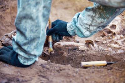 Археологи откопали железную дорогу XVI века и мира