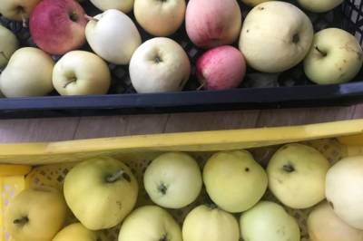 В Хабаровском крае продают яблоки с нарушением карантинных норм