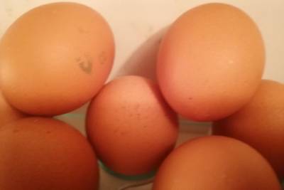 В Оренбурге подорожали яйца
