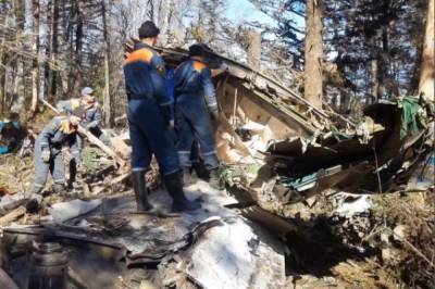 В Хабаровском крае завершены работы на месте крушения самолета