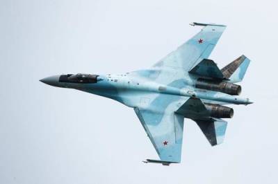 Avia.pro: ВКС России нанесли по протурецким боевикам в Сирии сотни ударов за несколько дней