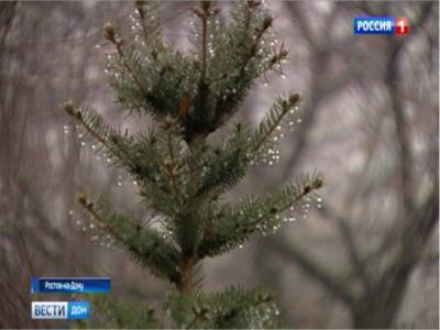 В некоторых районах Ростовской области сегодня ожидаются дожди