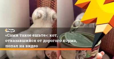 «Сами такое ешьте»: кот, отказавшийся от дорогого корма, попал на видео