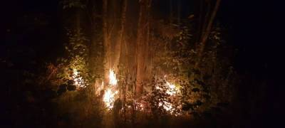 Власти Карелии объявили о завершении пожароопасного сезона