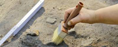 В геопарке «Ундория» исследователи обнаружили сразу два скелета ихтиозавров