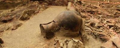 Найденные на Кубани разрушенные амфоры, возрастом 2500 лет, соберут с помощью ИИ